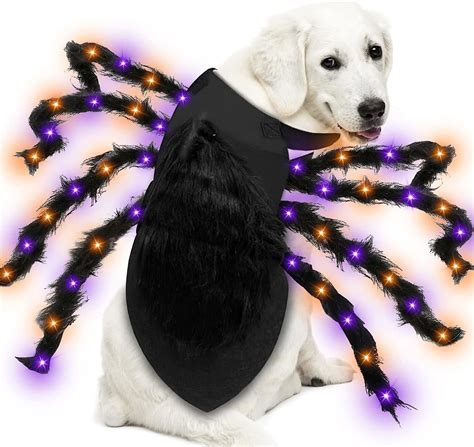 spider costume for dog|walmart dog spider costume.